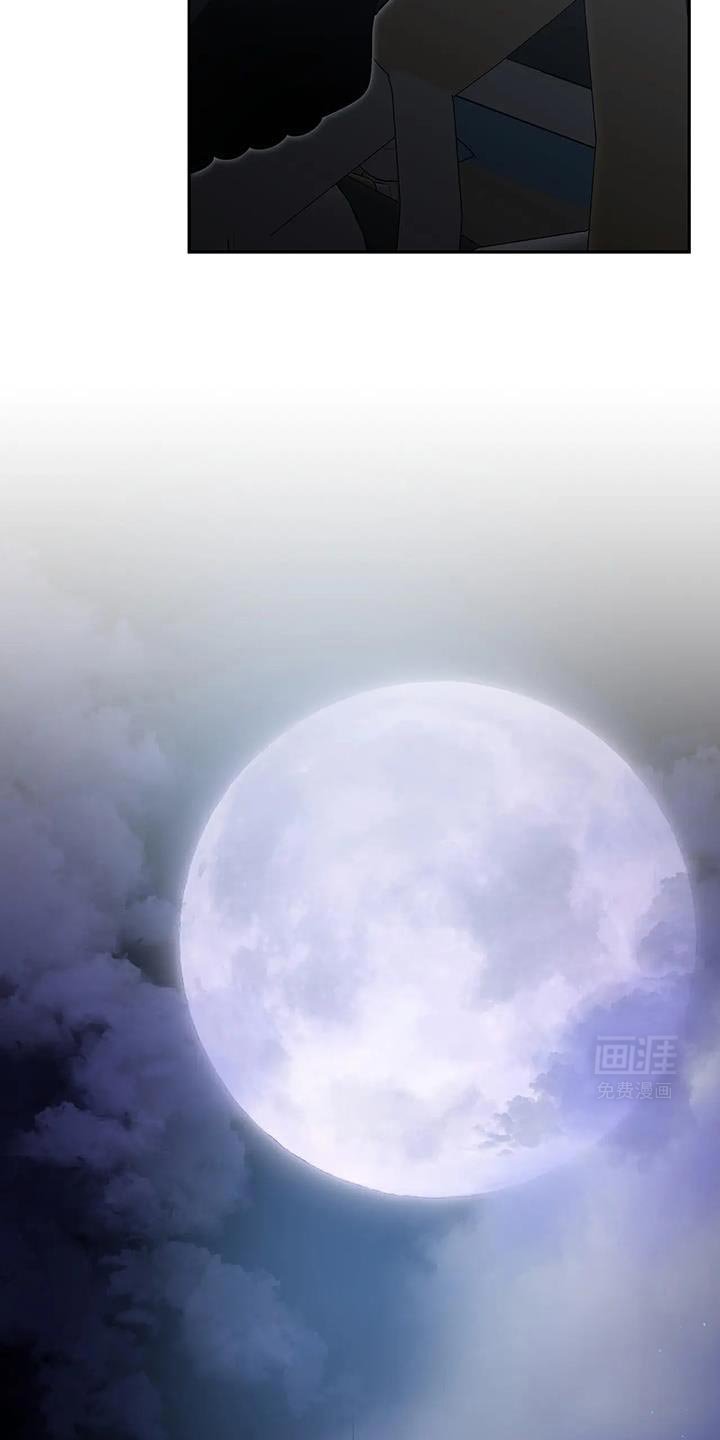 第56章：我相信你