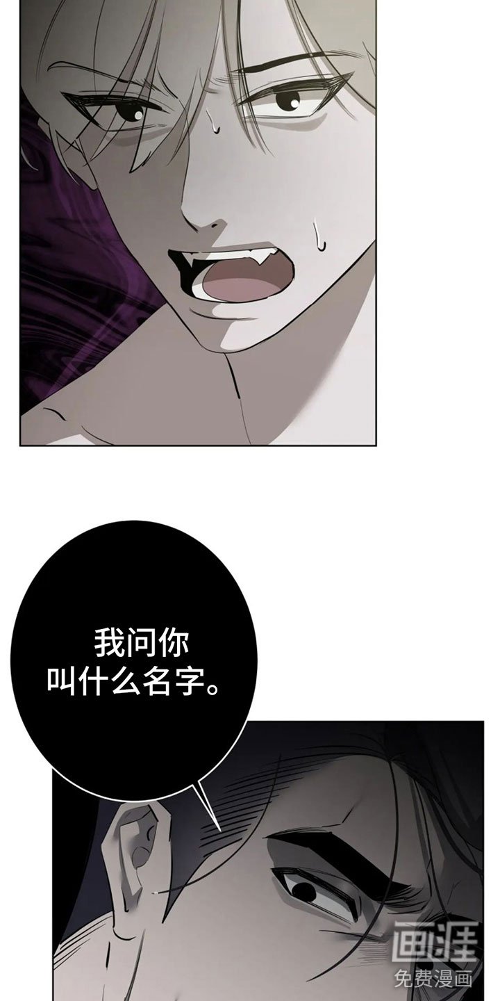 第6章：一百亿