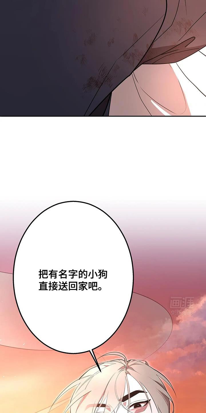 第63章：真的回家吧