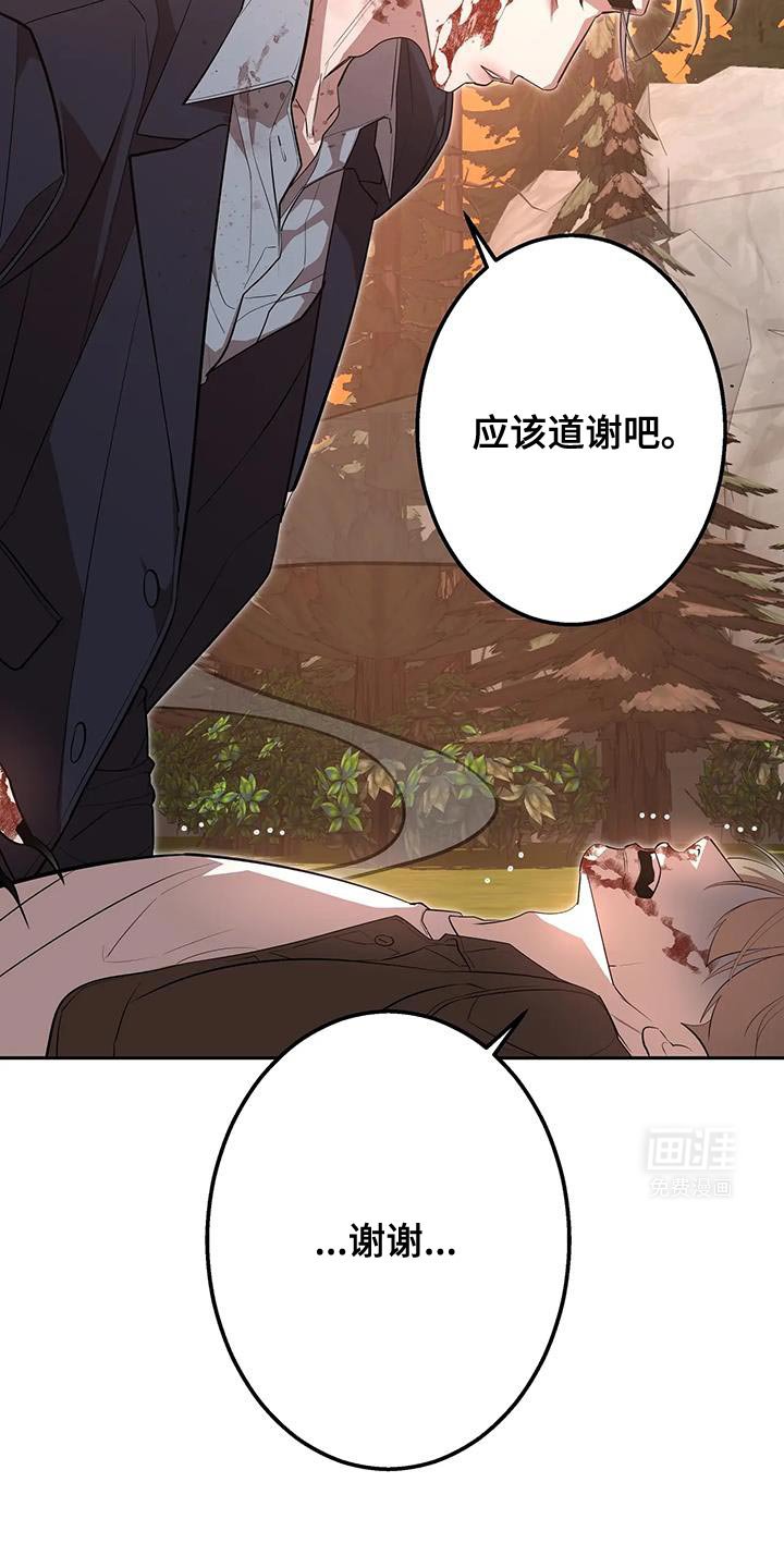 第63章：真的回家吧