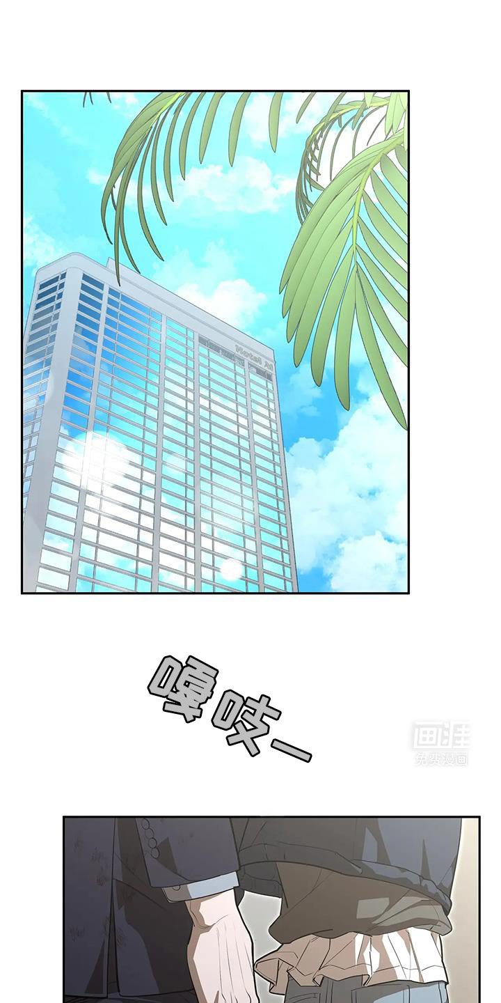第64章：爱人先生