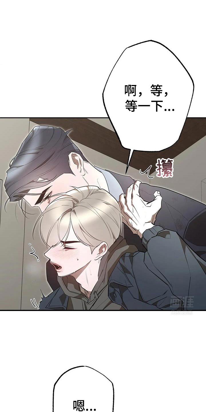 第64章：爱人先生