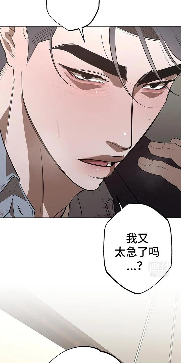 第64章：爱人先生