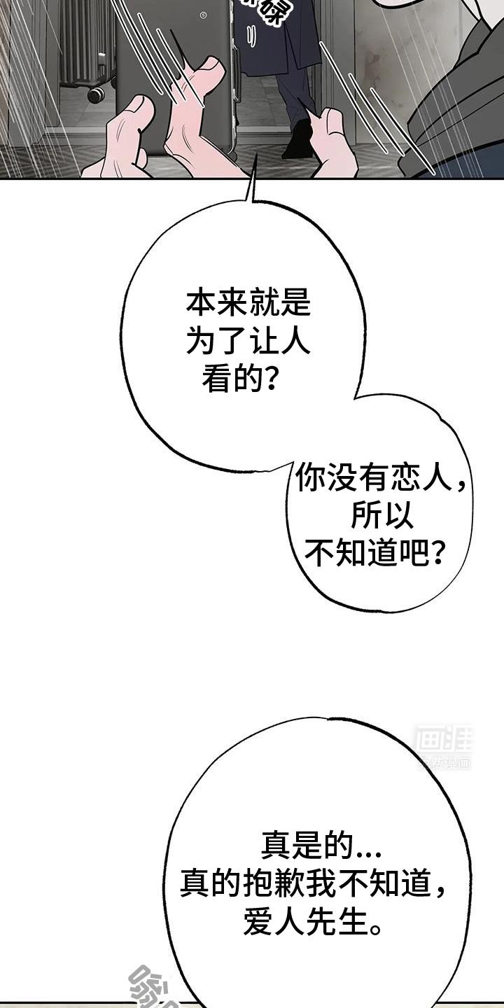 第64章：爱人先生