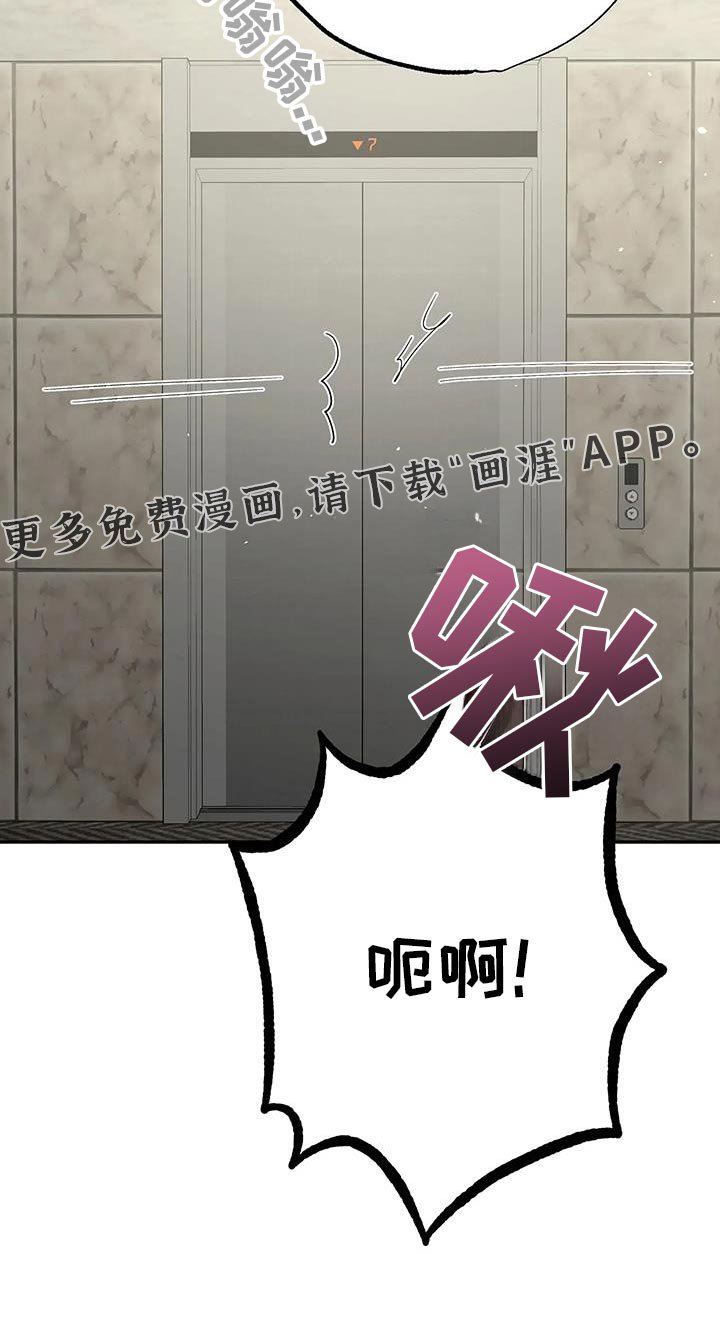 第64章：爱人先生