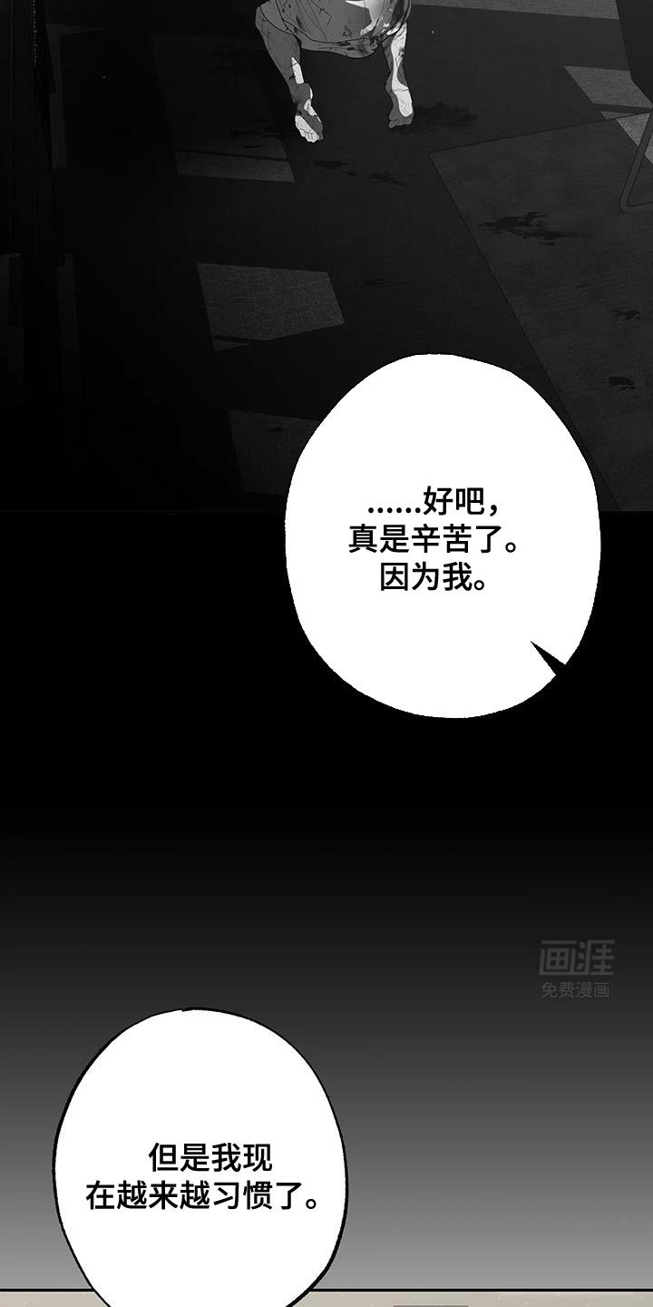 第65章：勇敢又鲁莽