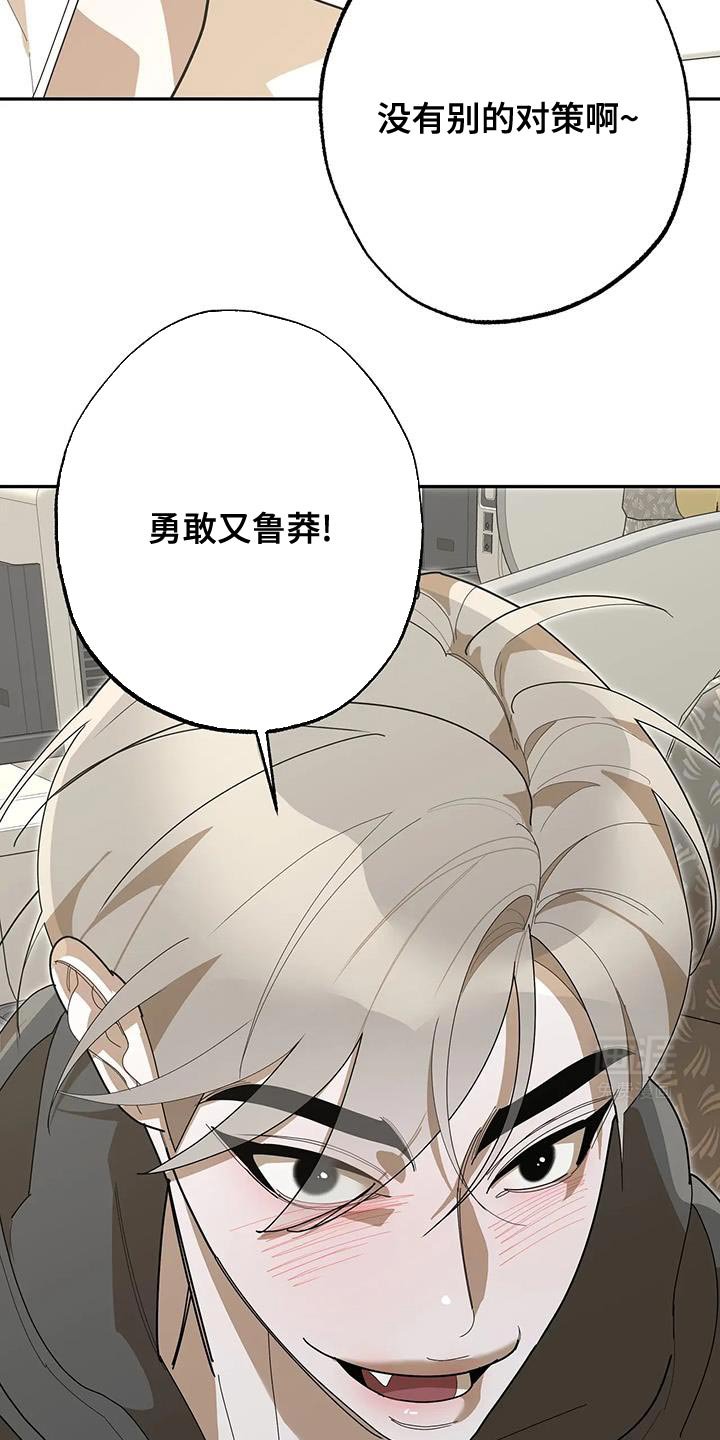 第65章：勇敢又鲁莽