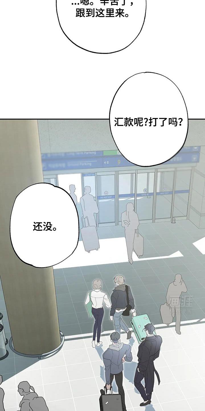 第67章：更值钱的