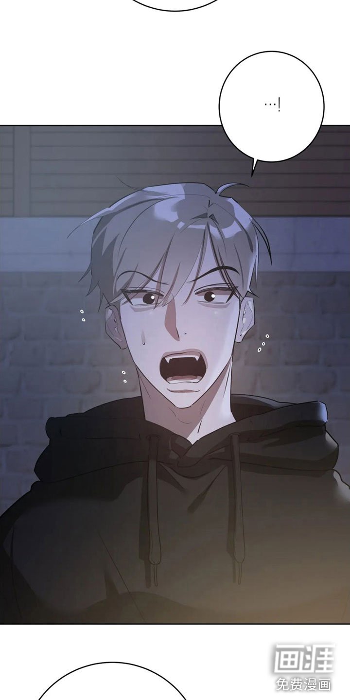 第7章：真神奇
