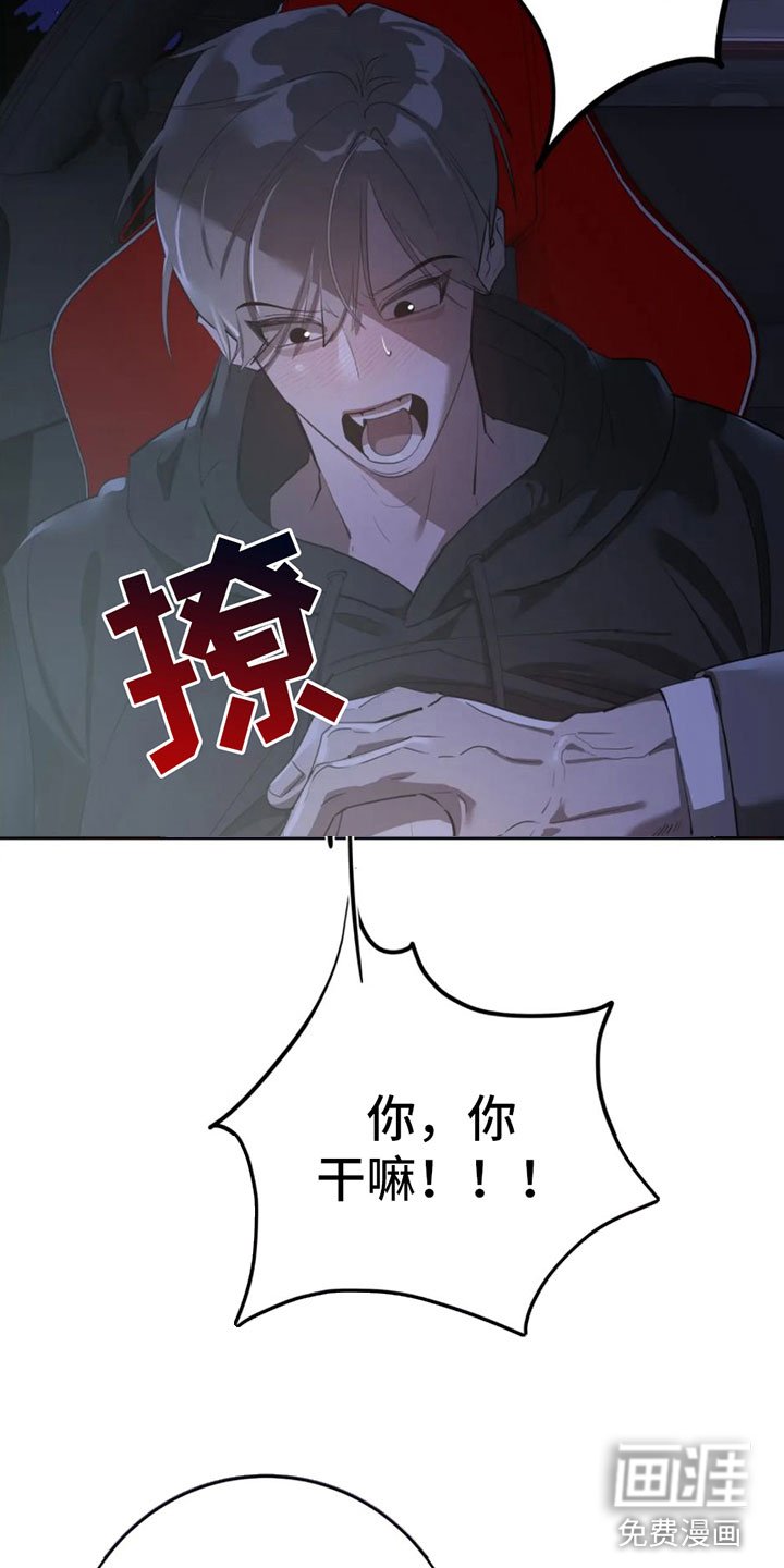 第7章：真神奇