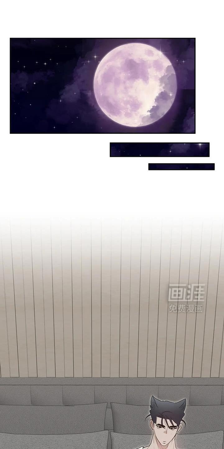 第71章：【番外】有面子