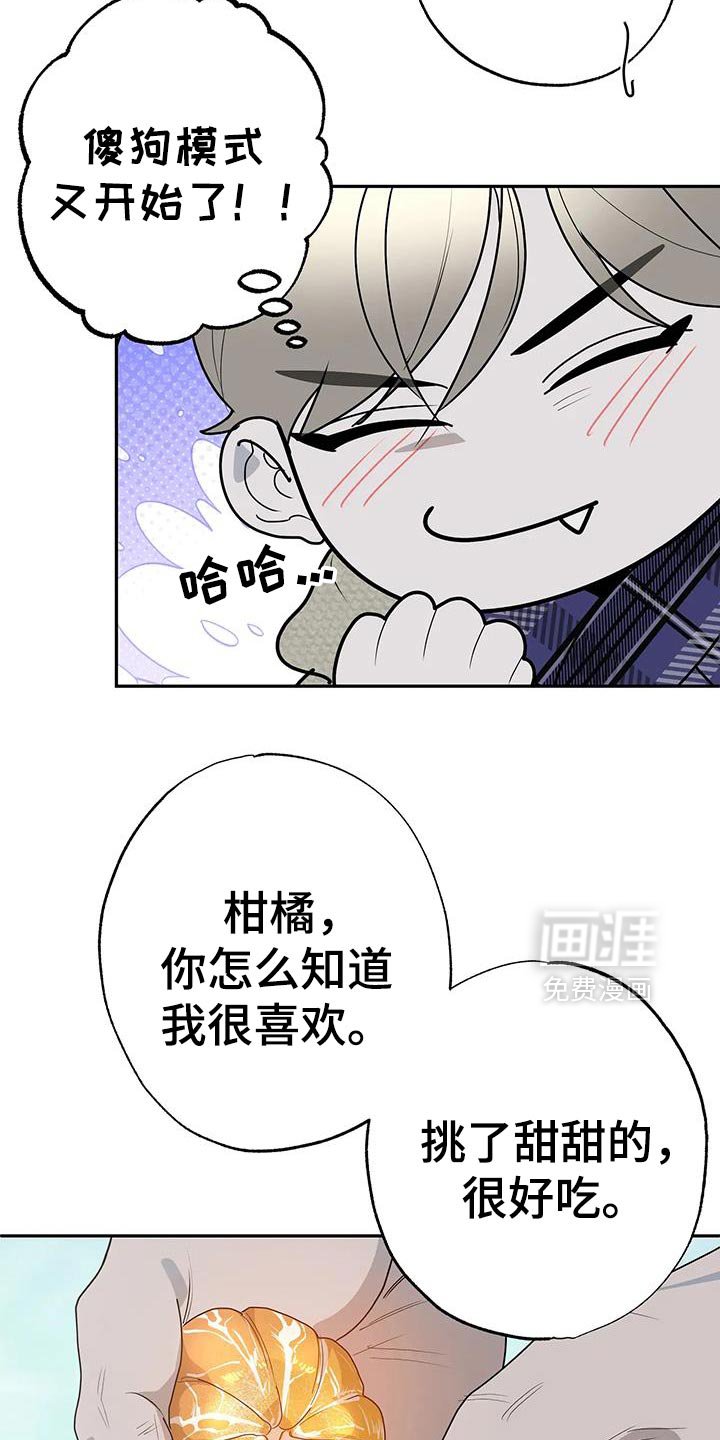 第78章：【番外】从现在开始