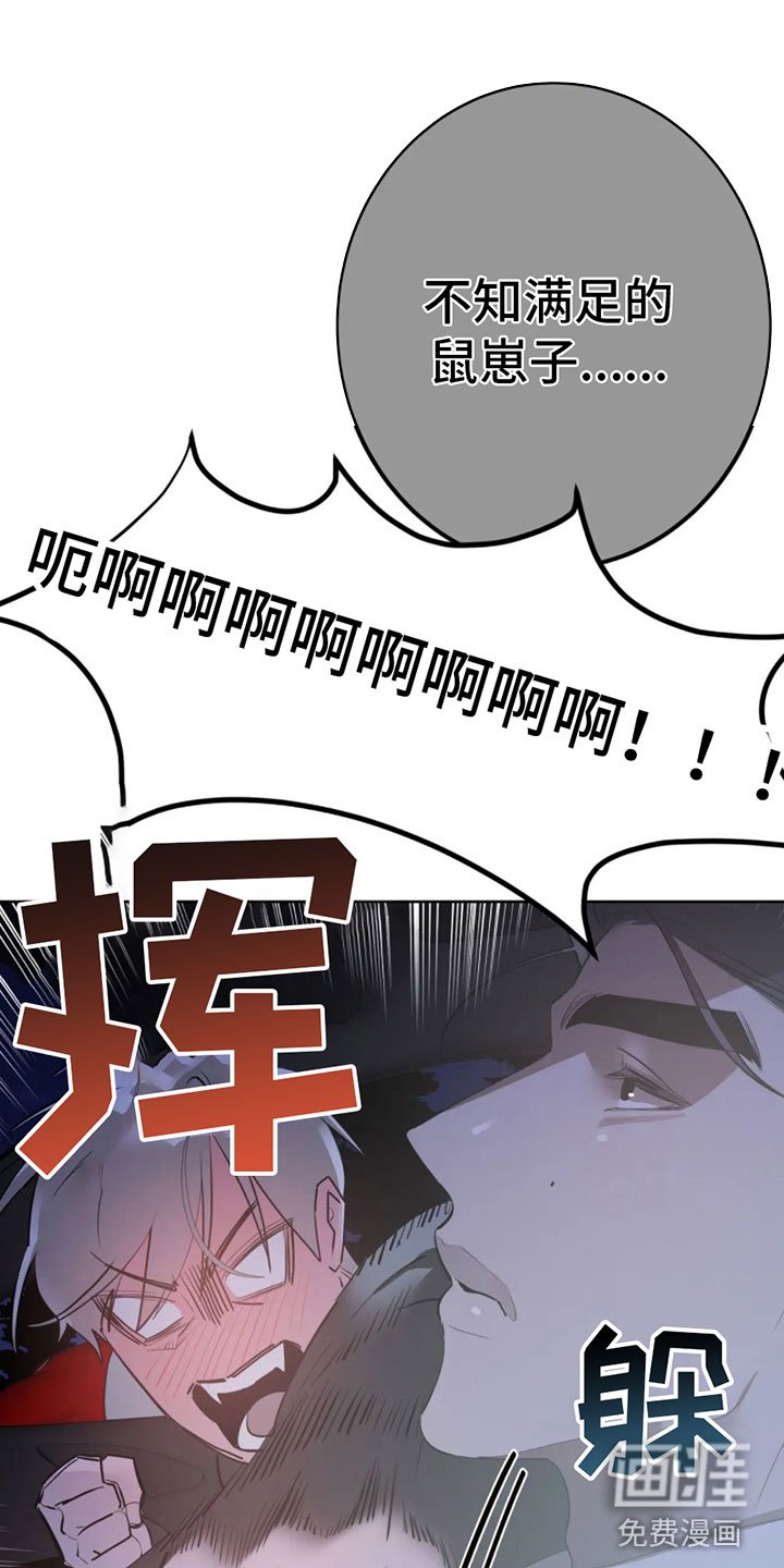 第8章：调查结果