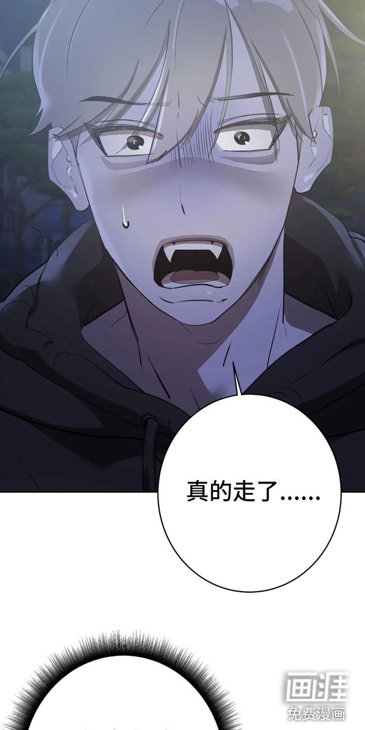 第8章：调查结果