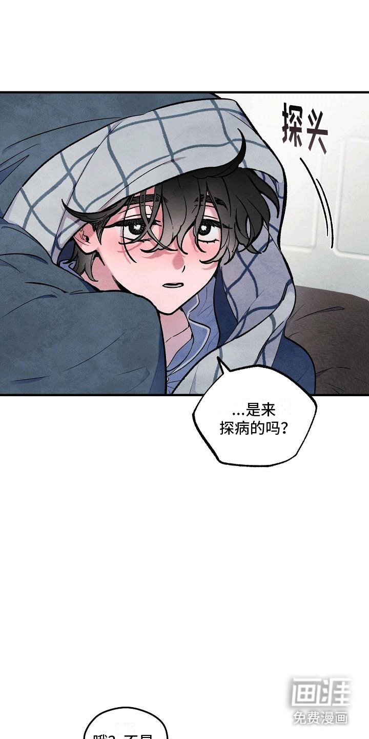 第13章：不是他做的