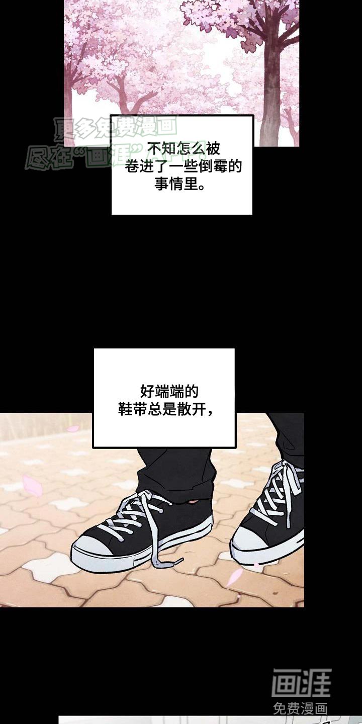 第26章：见面的日子