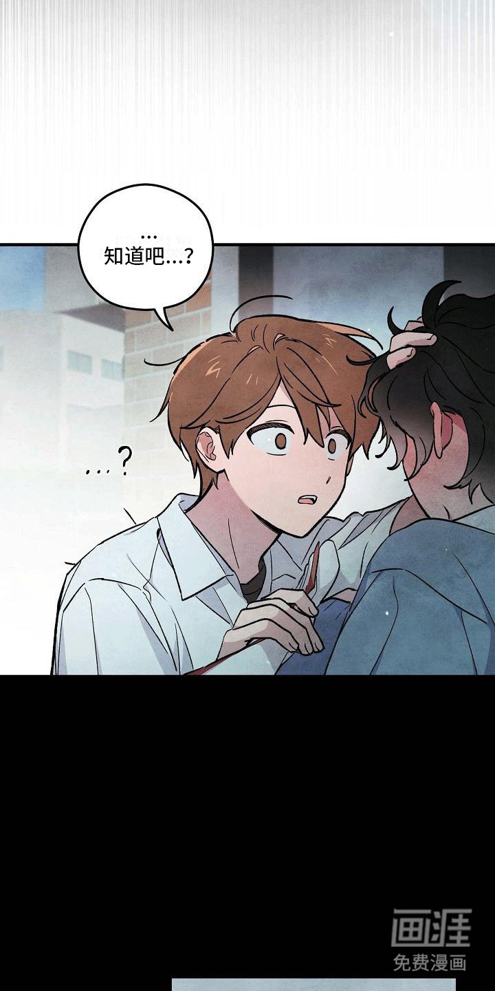 第5章：撩起头发