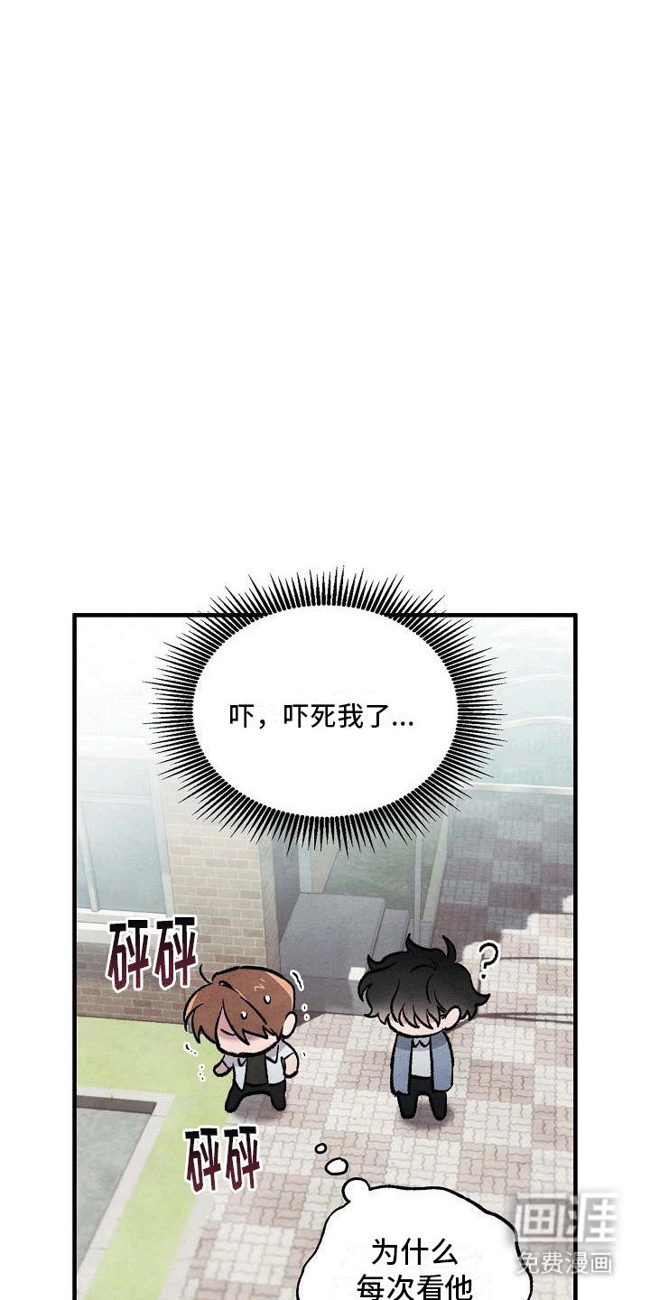 第7章：美梦一场