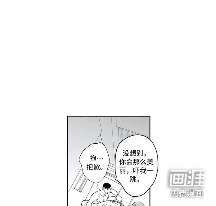 第12章：解释