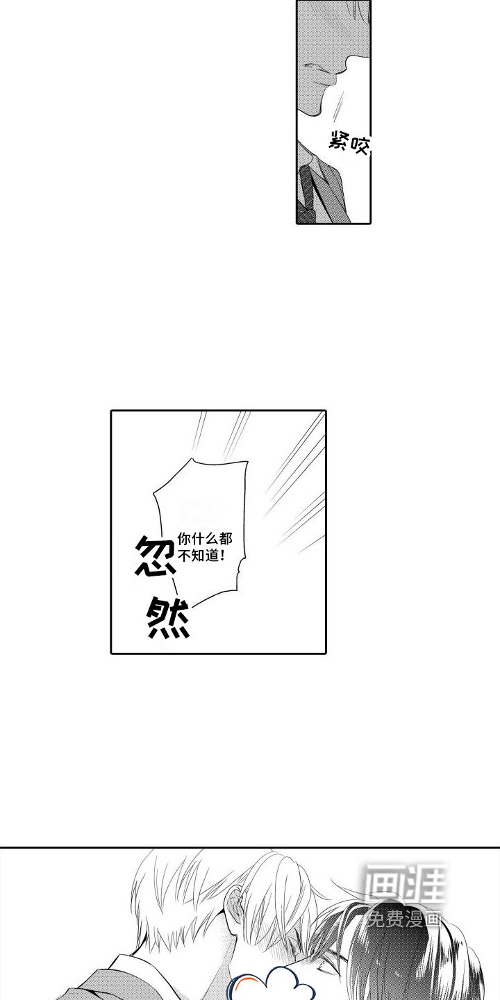 第13章：表白