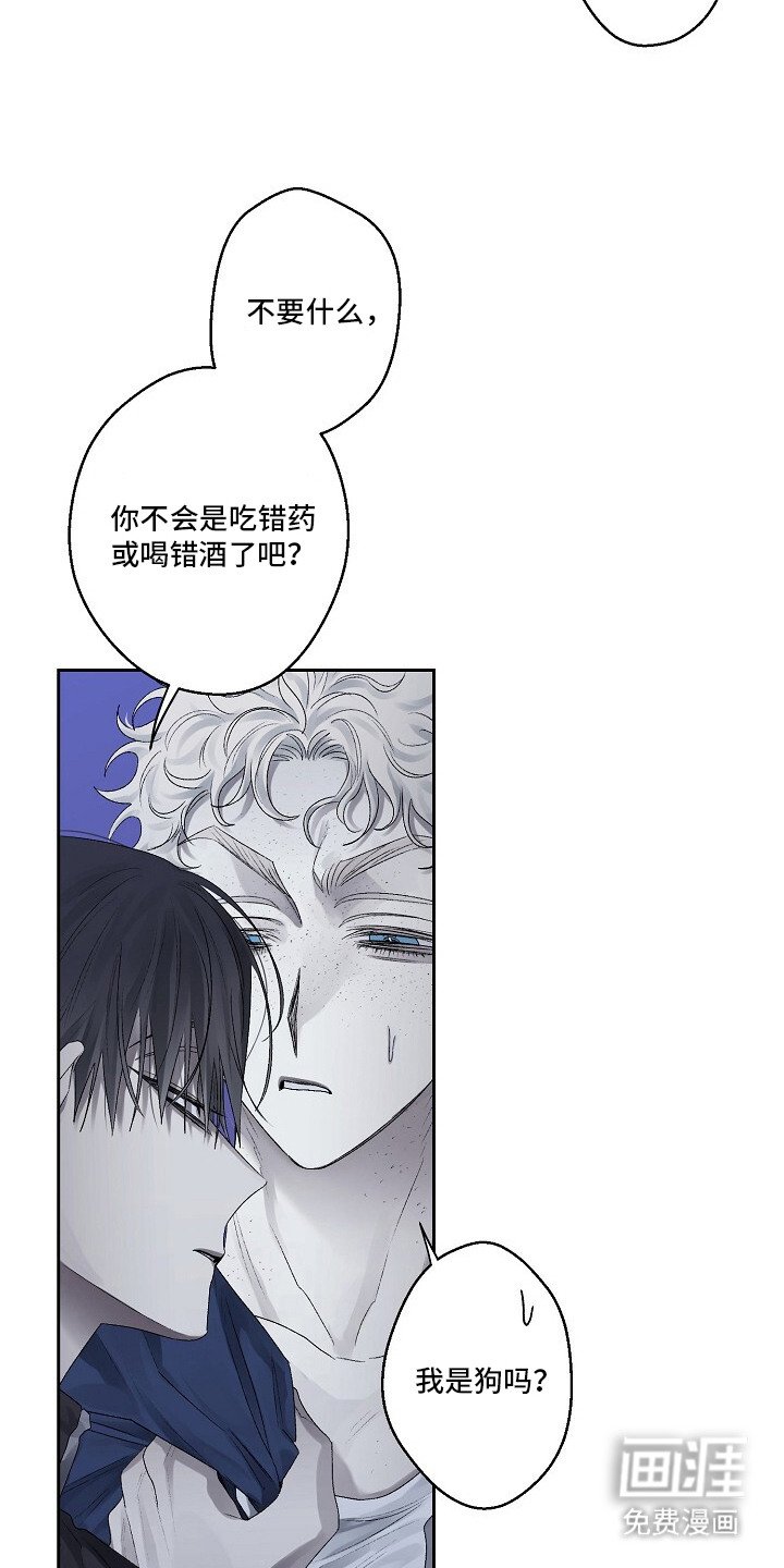 第1章：耳旁风