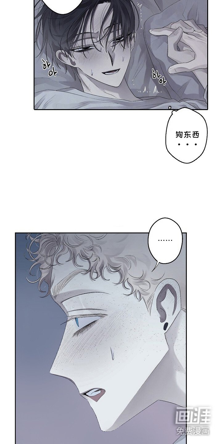 第8章： 打赌