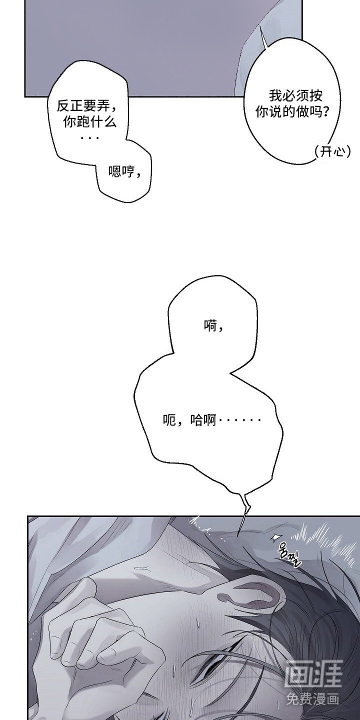第8章： 打赌