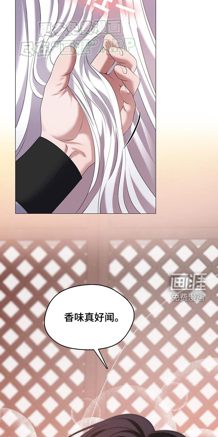 第42章：令人惊叹