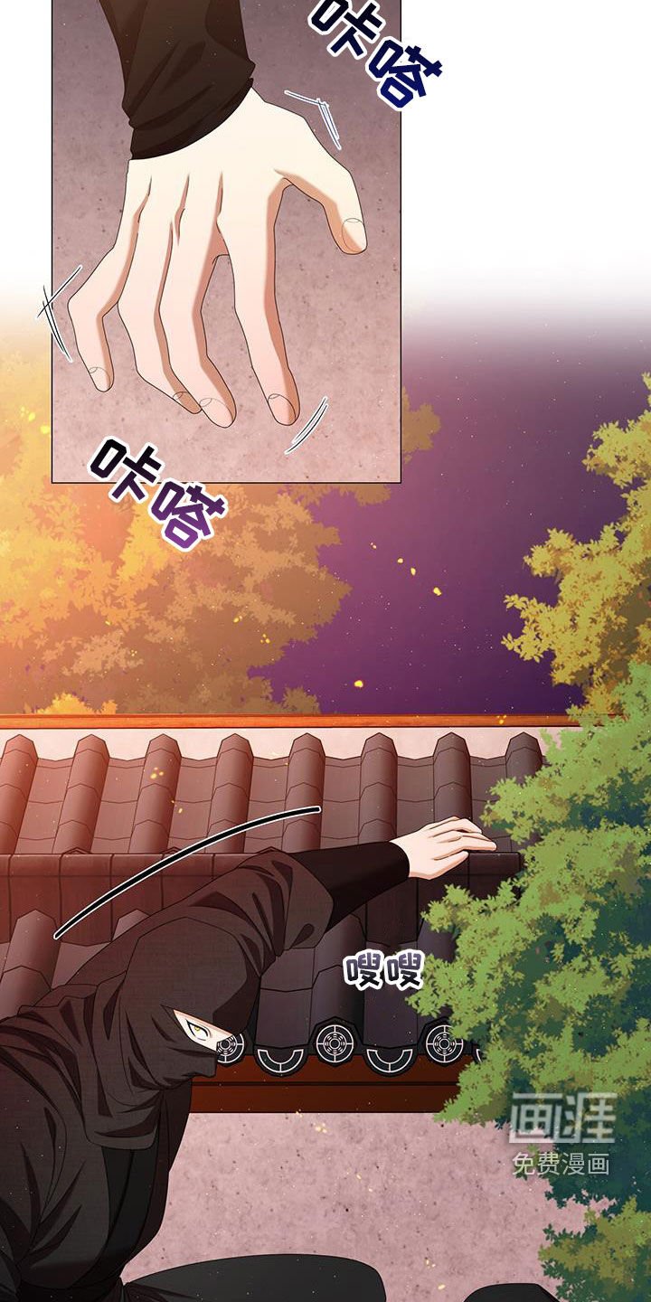 第52章：遭遇