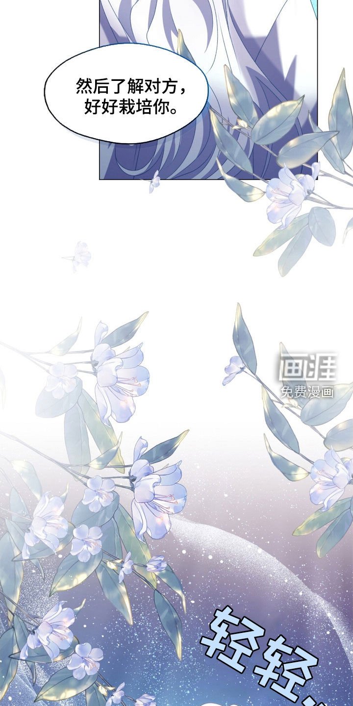 第81章：理想型