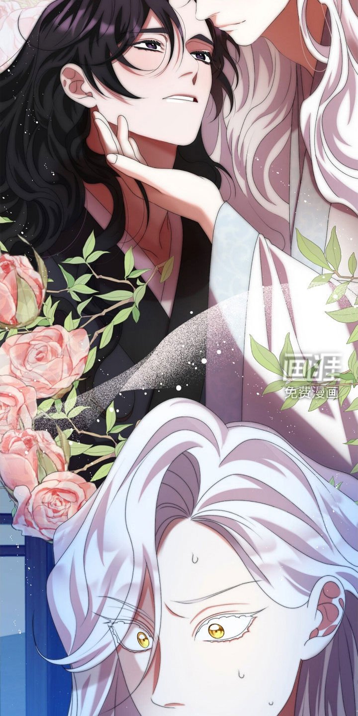 第81章：理想型