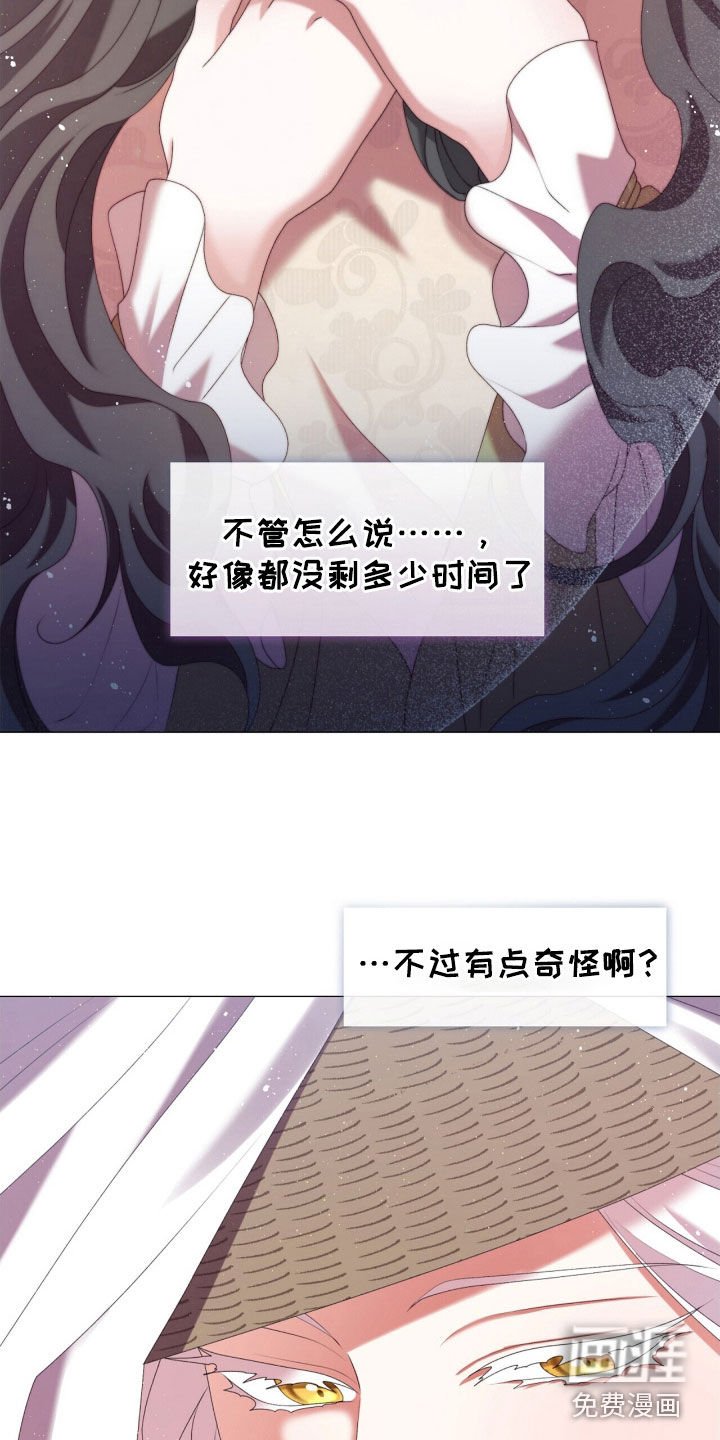 第85章：我会去找你的