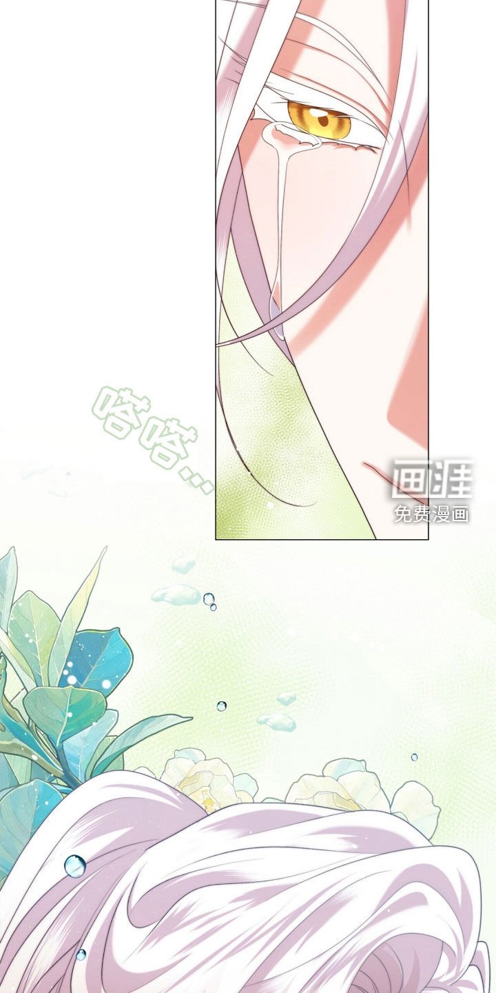 第93章：师父的眼泪