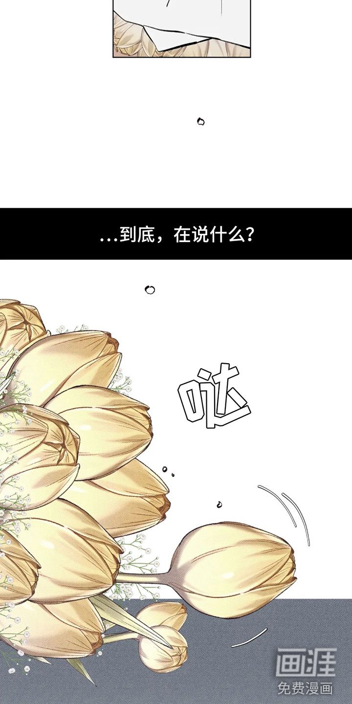 第11章：不是喜欢？