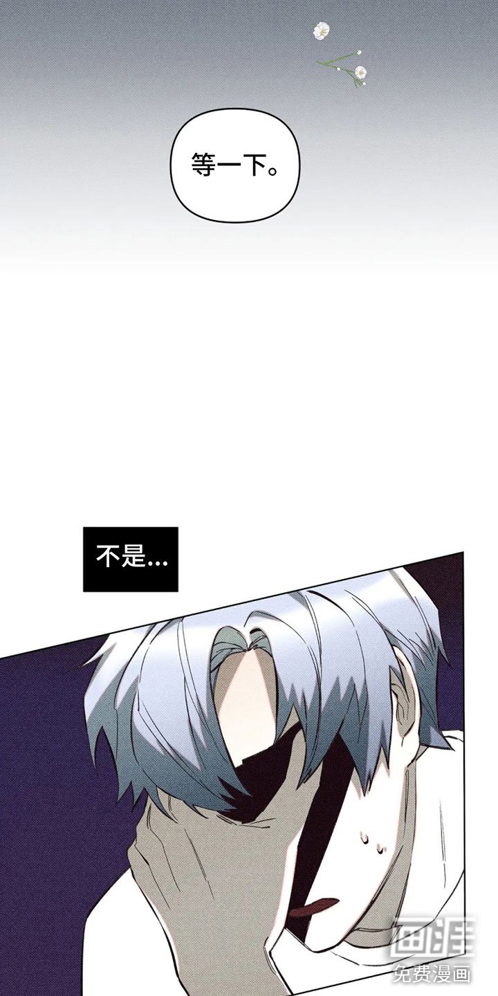 第11章：不是喜欢？