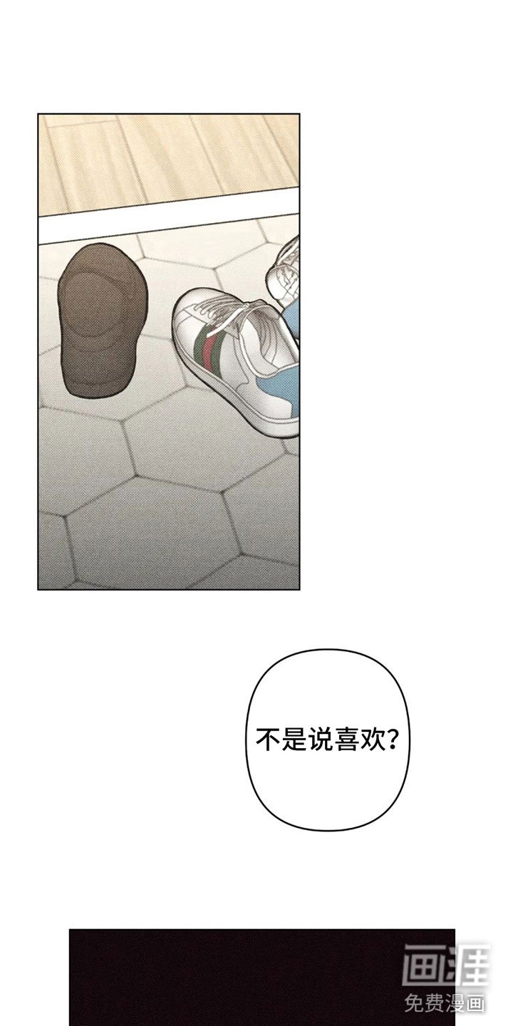 第11章：不是喜欢？