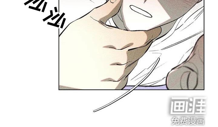 第13章：错误的选择