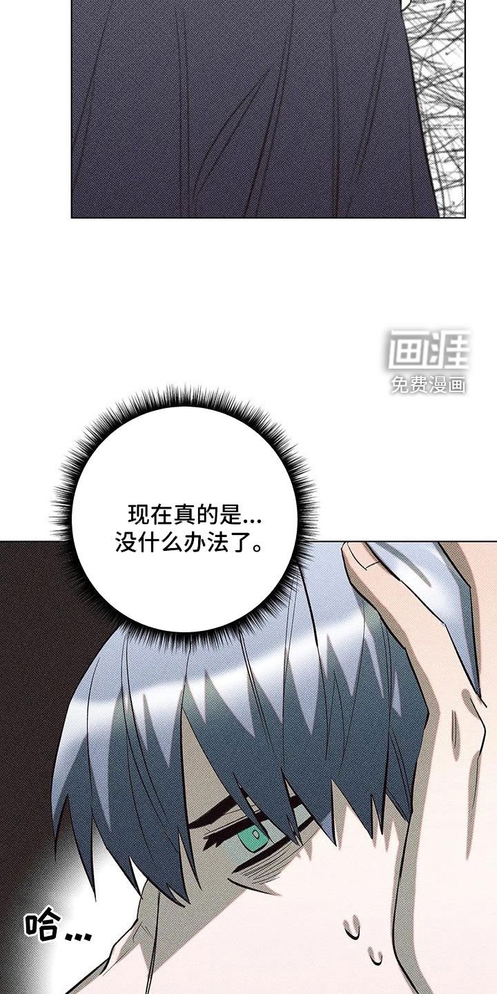 第16章：开箱