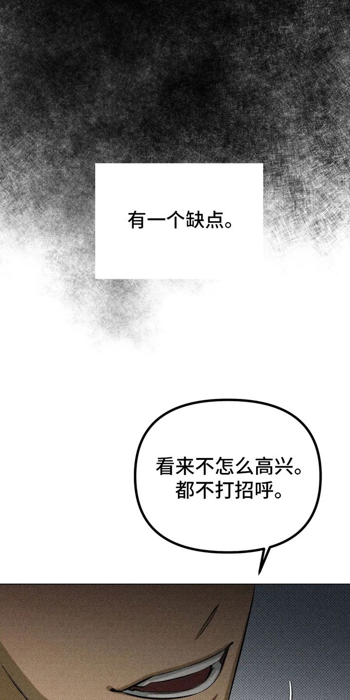 第2章：一个缺点