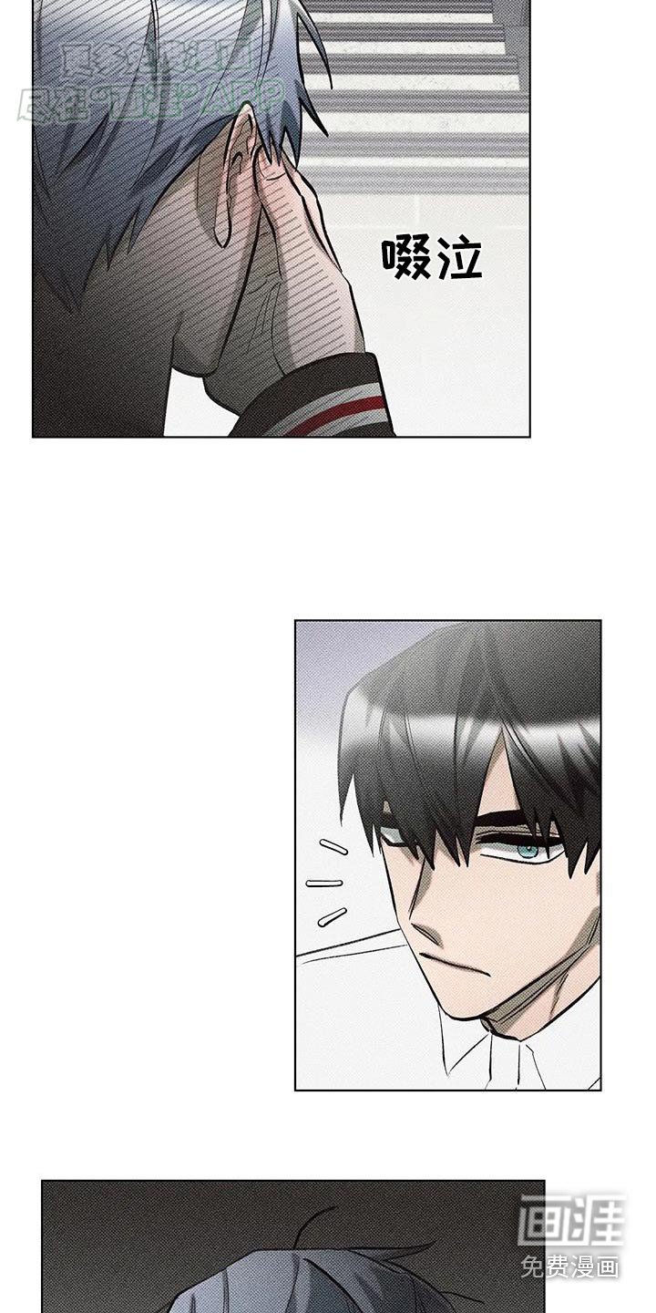 第41章：哭了