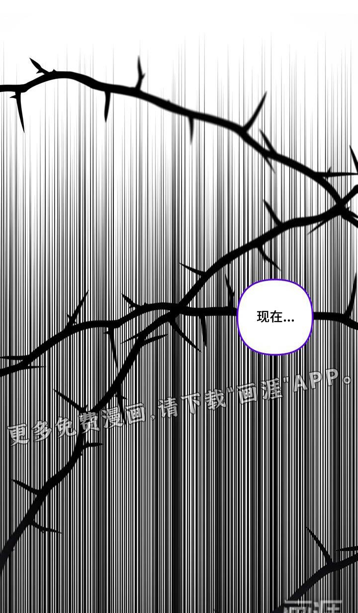 第50章：有点好奇