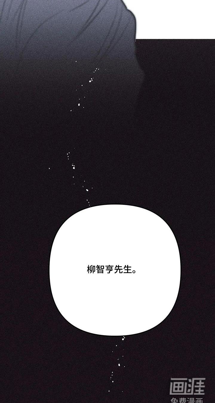 第52章：随心所欲