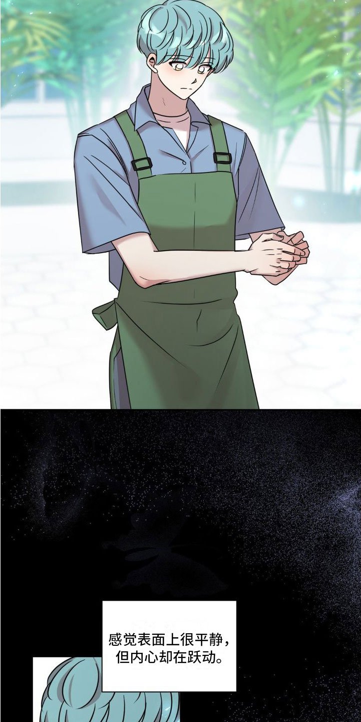 第3章：原谅我一次