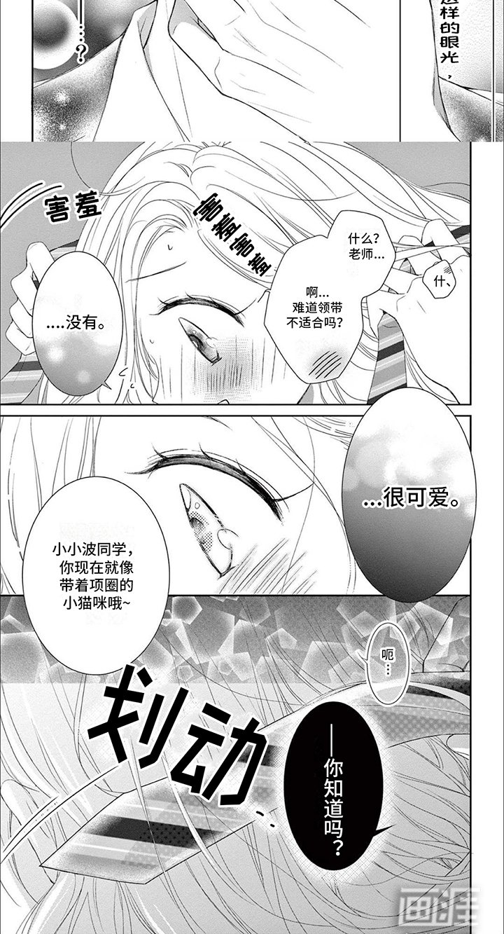 第10章：领带