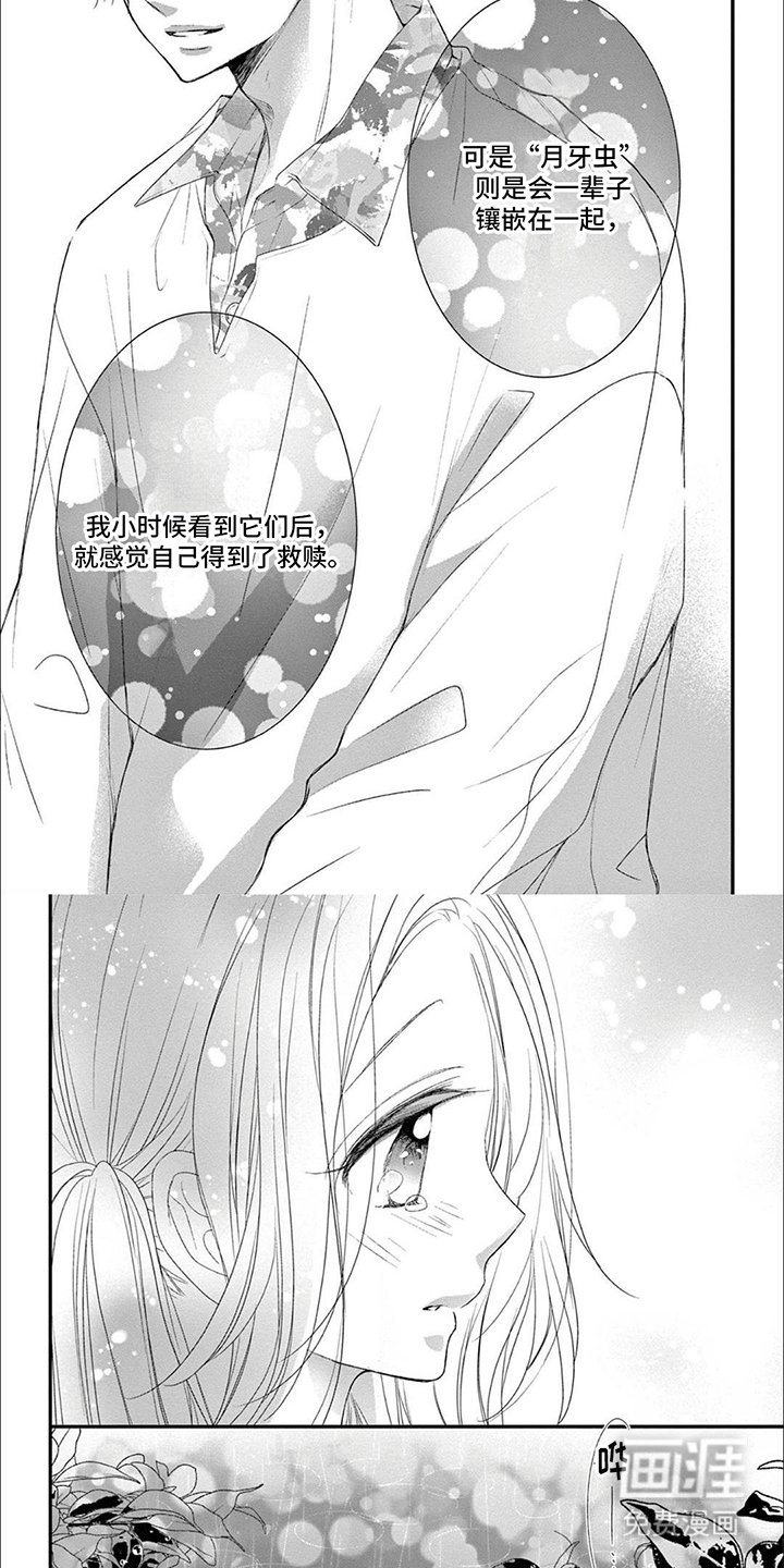 第19章：月牙虫