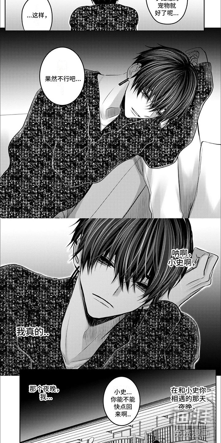 第10章：逃跑的小狗