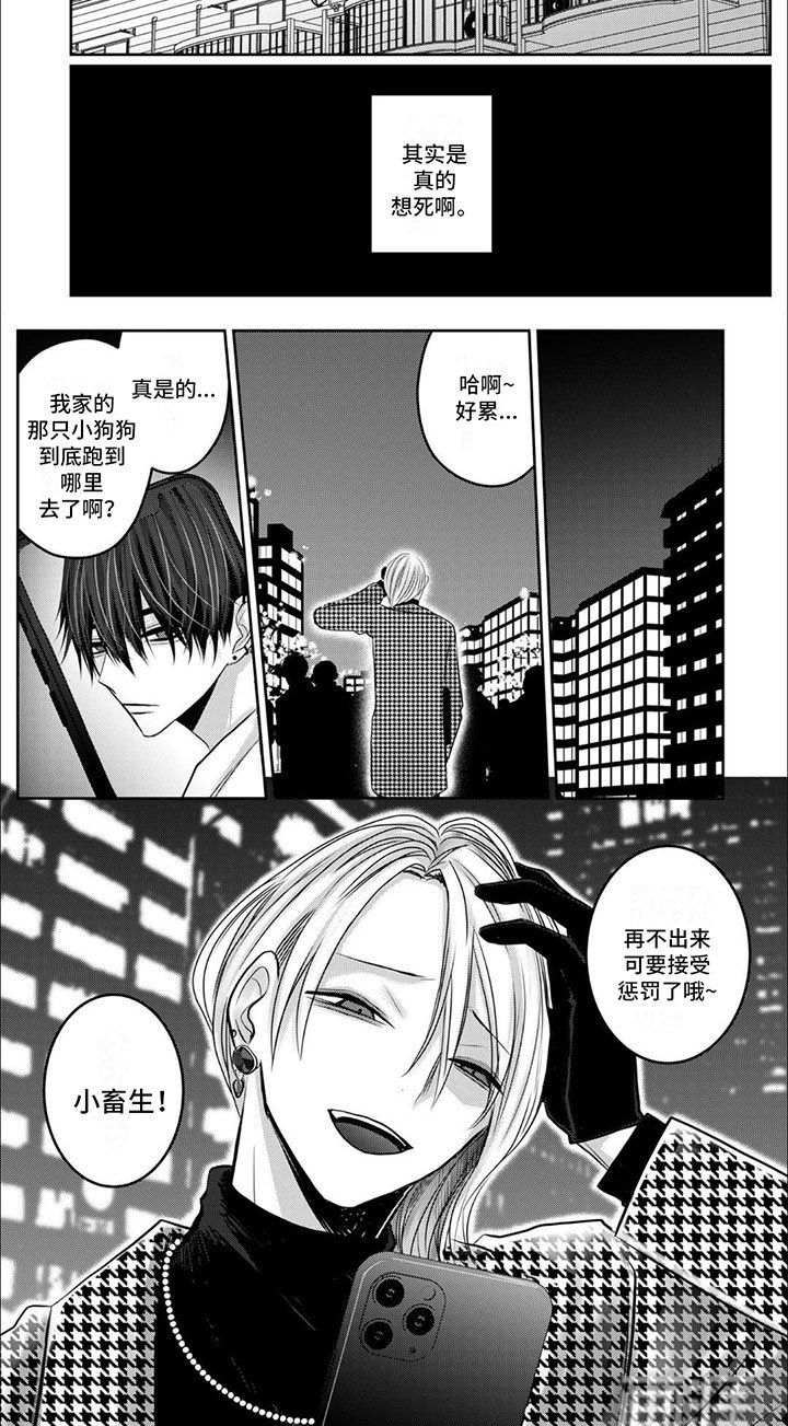 第10章：逃跑的小狗