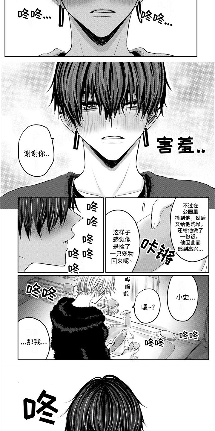 第3章：安慰
