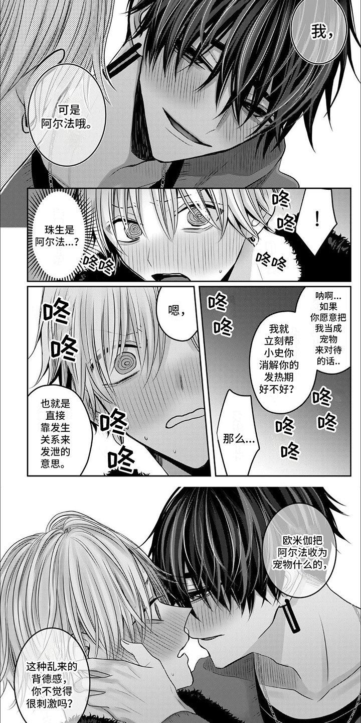 第3章：安慰