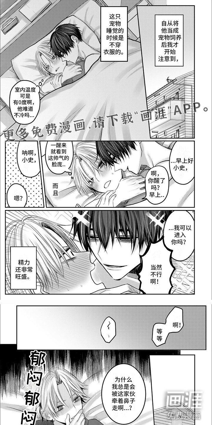 第5章：早点回来
